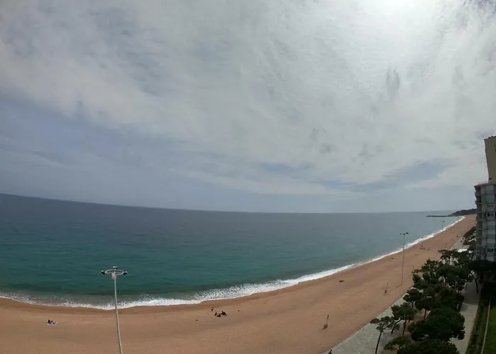 A Primera Linea De Mar En Apartament